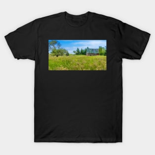 Abandoned House in Feltzen South T-Shirt